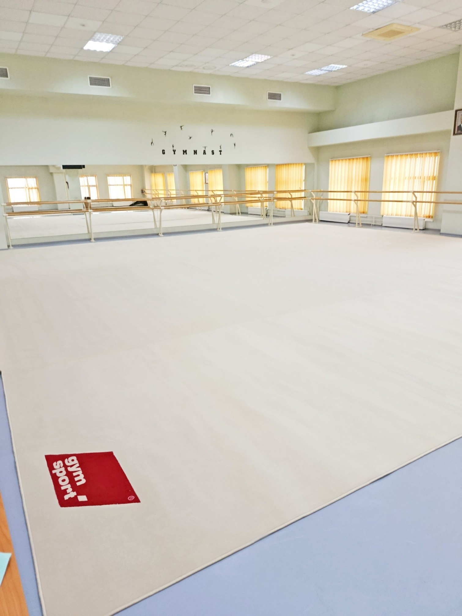 Ковер для художественной гимнастики GYMSPORT PROF NEW 14Х14