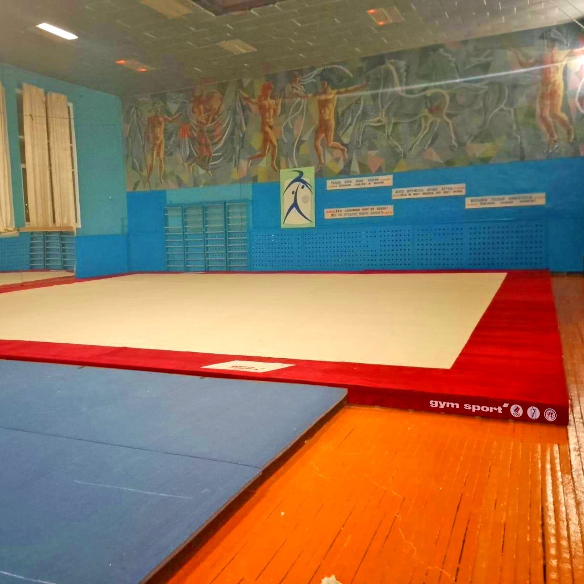 Ковер для спортивной гимнастики и акробатики GYMSPORT STRONG PREMIUM RED 14x14