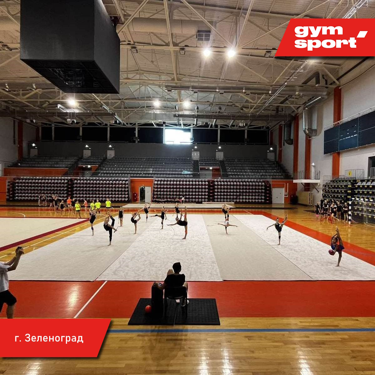 Ковер для эстетической гимнастики GYMSPORT PROF 14Х14