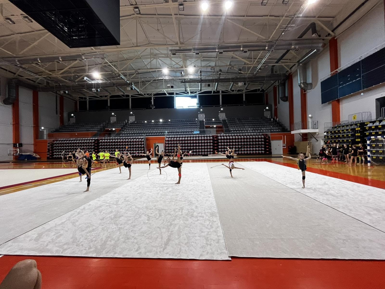Ковер гимнастический GYMSPORT PROF 14Х14