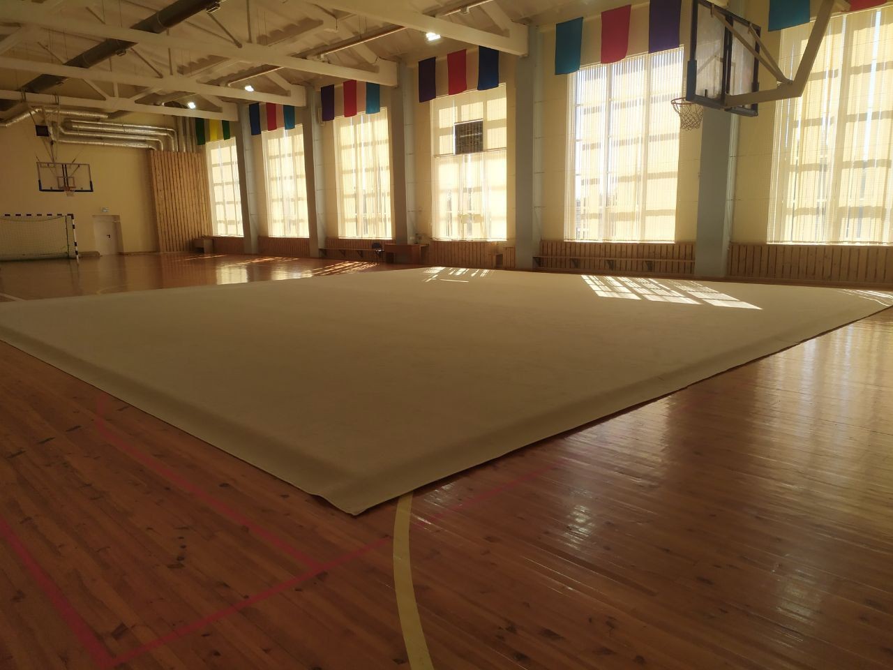 Ковер гимнастический GYMSPORT PROF 14Х14