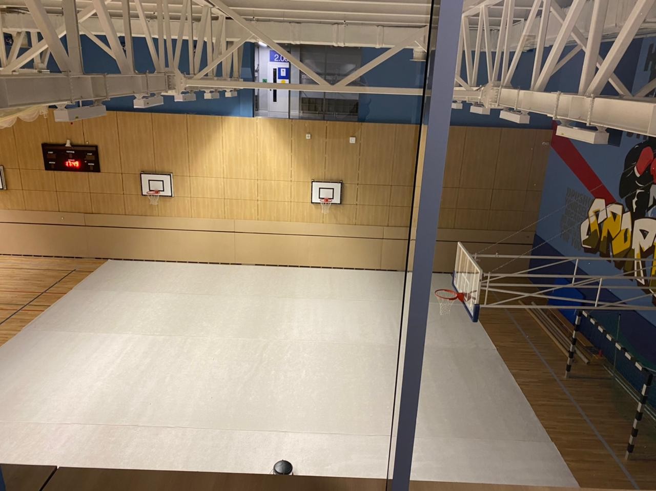 Ковер гимнастический GYMSPORT PROF 14Х14