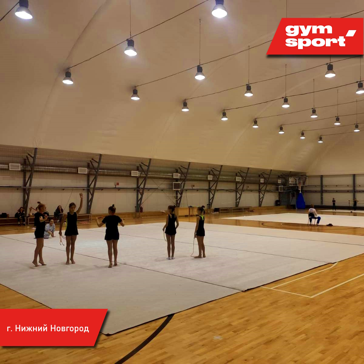 Ковер для художественной гимнастики GYMSPORT PROF 14Х14