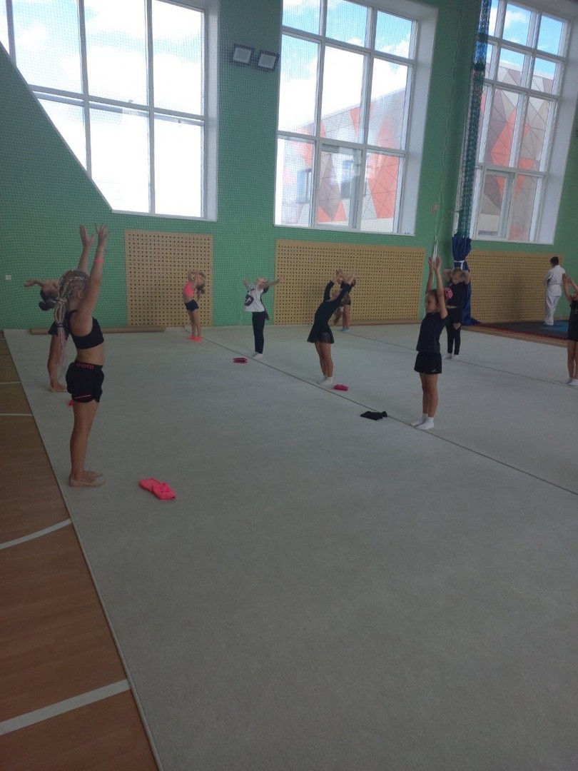 Ковер гимнастический GYMSPORT PROF 14Х14
