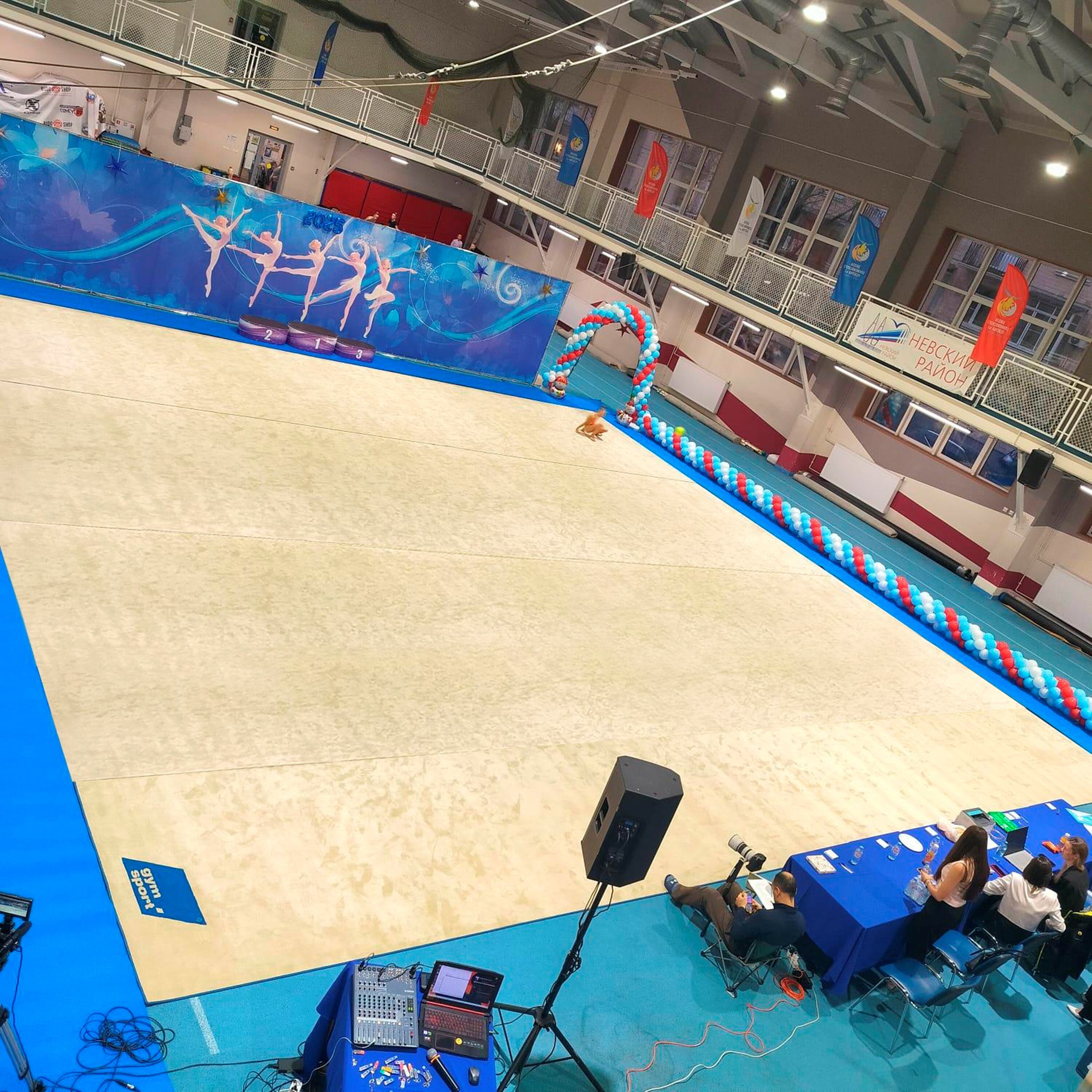 Ковер для художественной гимнастики GYMSPORT PROF NEW 14Х14