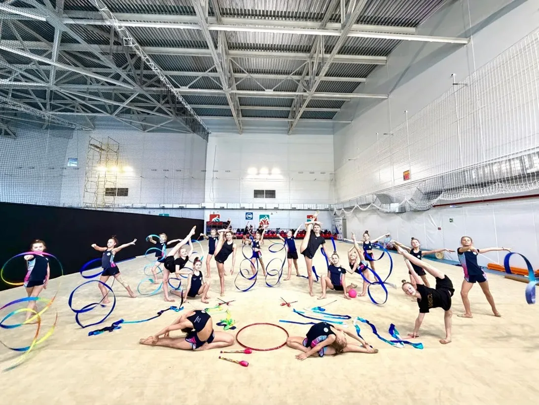 Ковер для художественной гимнастики GYMSPORT PROF NEW 14Х14