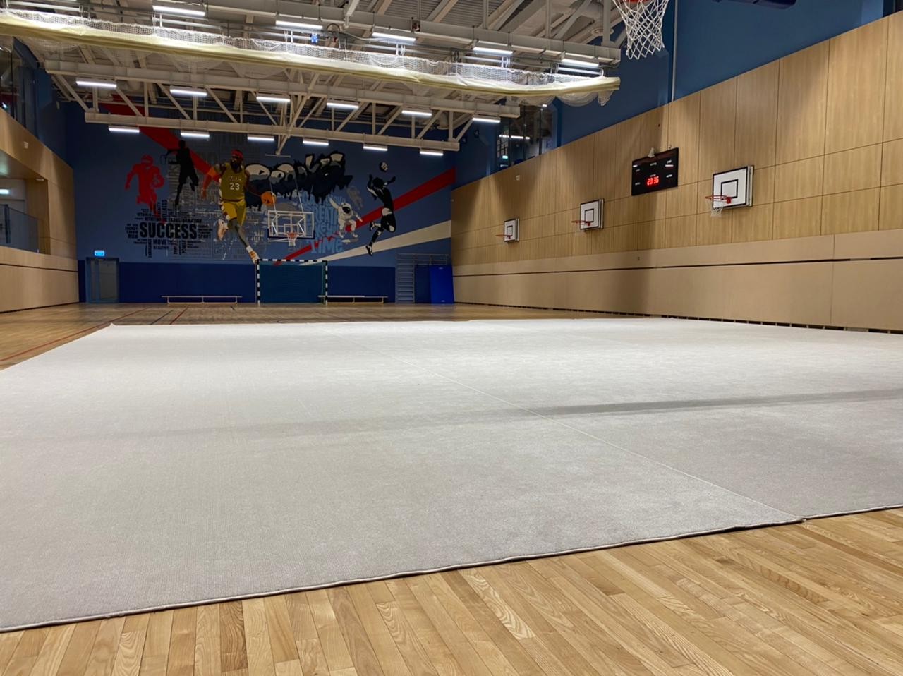 Ковер гимнастический GYMSPORT PROF 14Х14