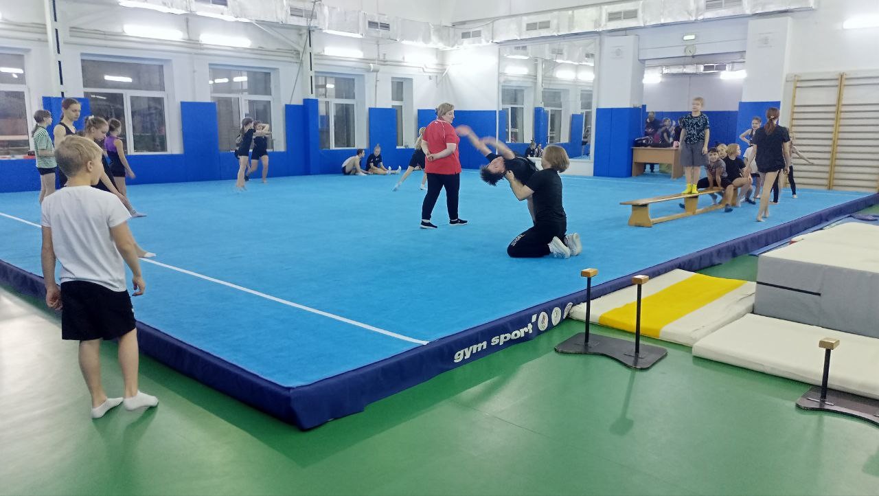 Ковер для спортивной гимнастики и акробатики GYMSPORT STRONG 14x14