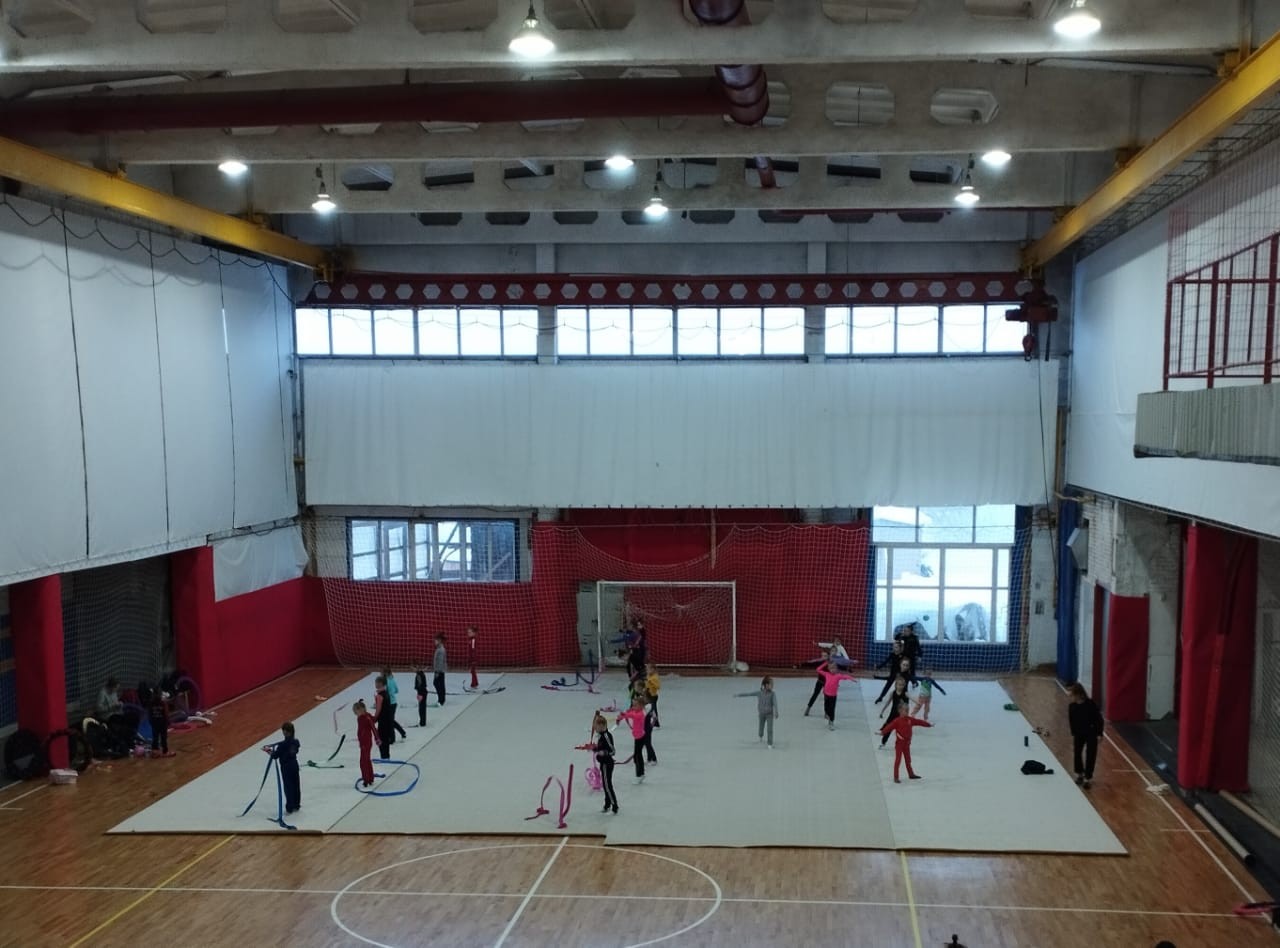 Ковер гимнастический GYMSPORT PROF 14Х14