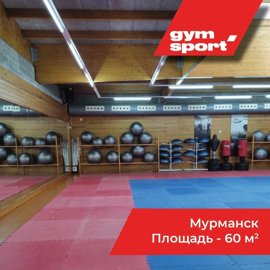 Будо-маты для татами GYMSPORT 1х1 ЭВА. Толщина 40 мм