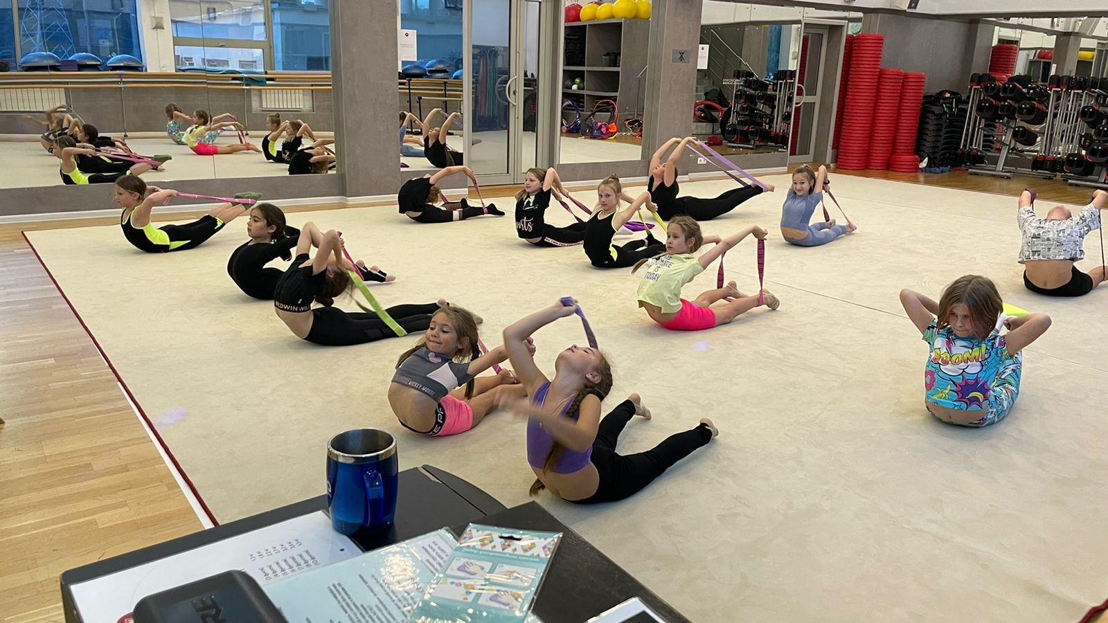 Ковер гимнастический GYMSPORT PROF PREMIUM 4х14м