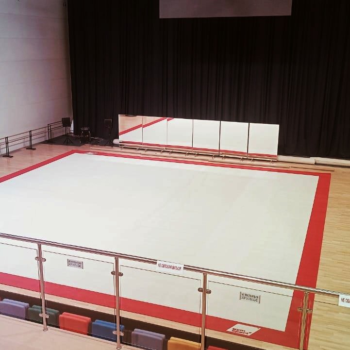 Соревновательный ковер для художественной гимнастики GYMSPORT PROF PREMIUM RED 14Х14