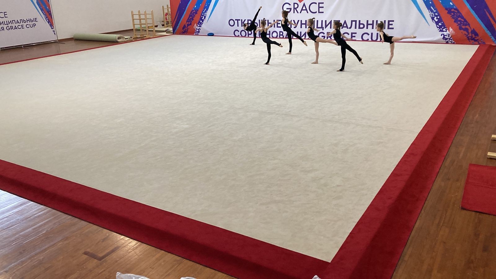 Соревновательный ковер для художественной гимнастики GYMSPORT PROF PREMIUM RED 14Х14