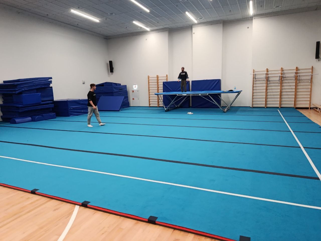 Ковер для спортивной гимнастики и акробатики GYMSPORT STRONG 14x14
