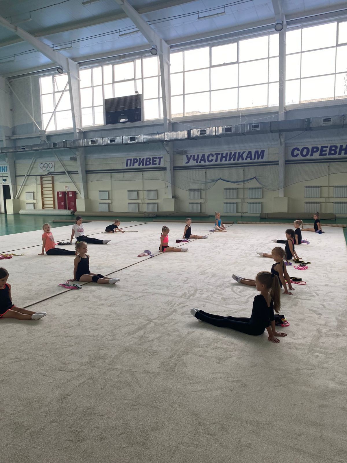 Ковер гимнастический GYMSPORT PROF 14Х14