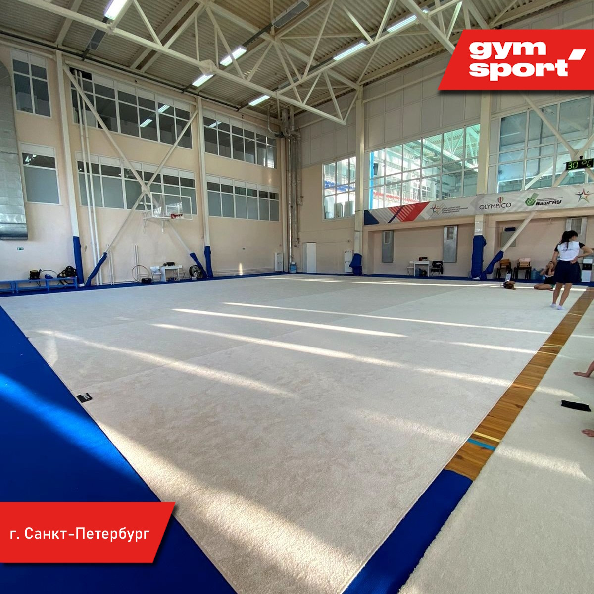 Ковер для эстетической гимнастики GYMSPORT PROF 14Х14