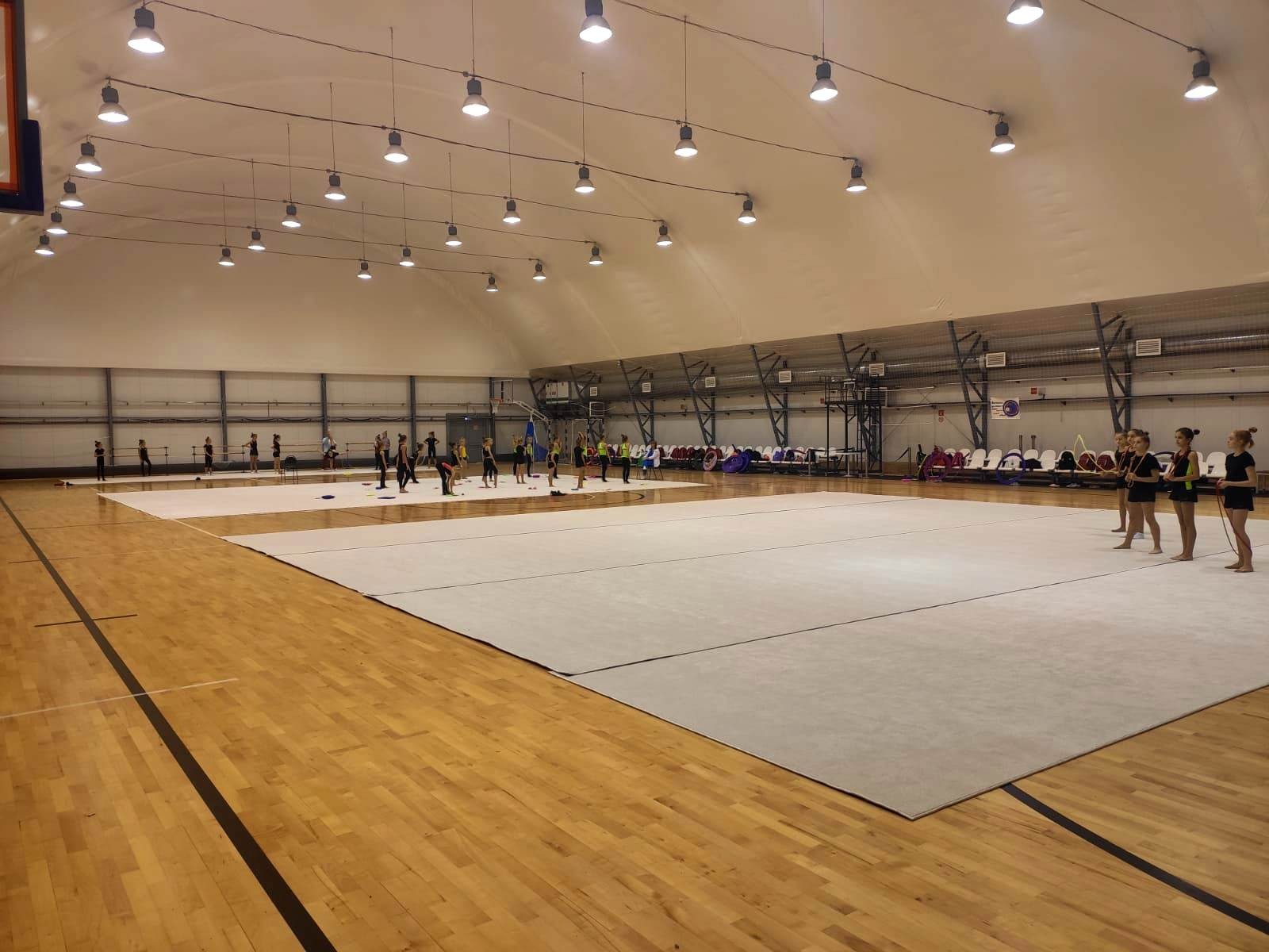 Ковер гимнастический GYMSPORT PROF 14Х14