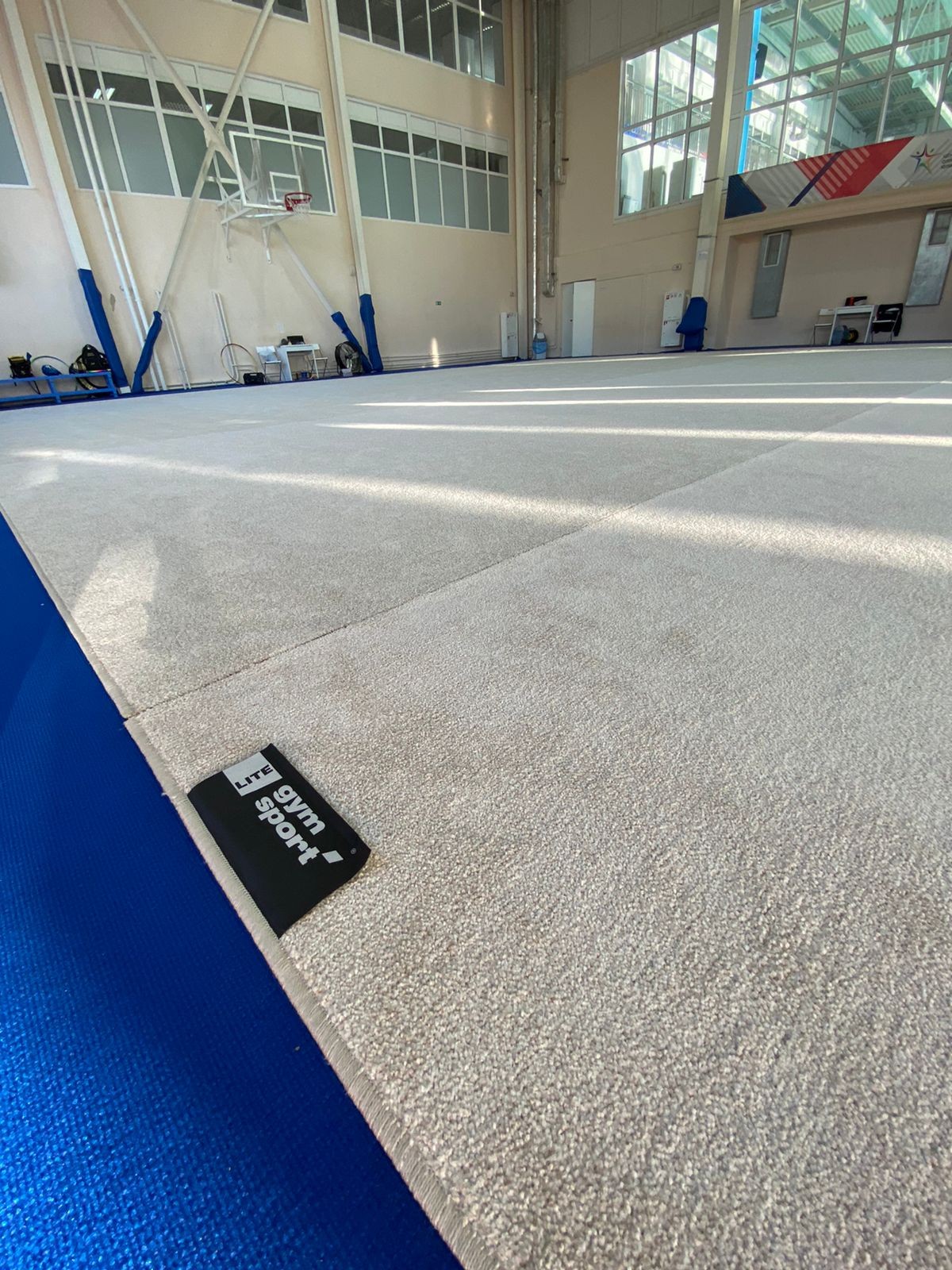 Ковер гимнастический GYMSPORT PROF 14Х14