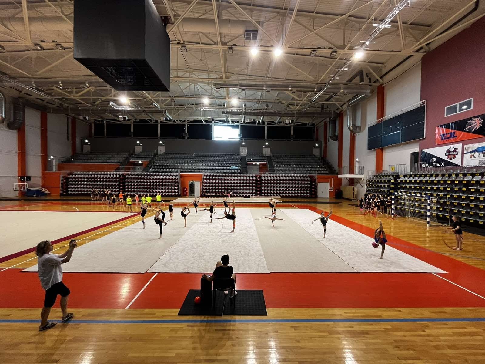 Ковер гимнастический GYMSPORT PROF 14Х14