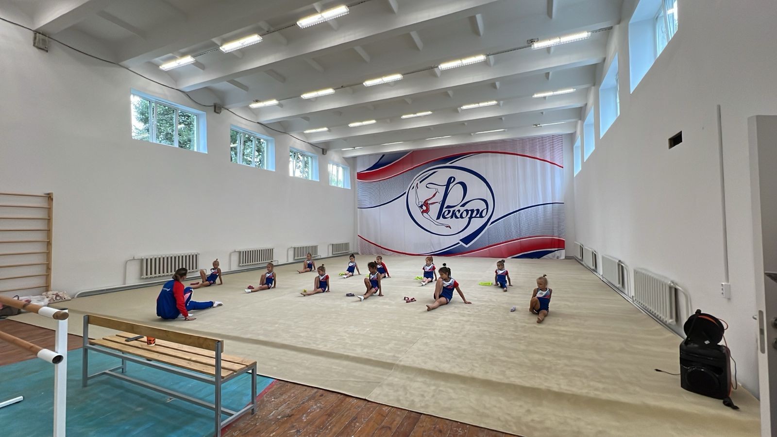 Ковер для художественной гимнастики GYMSPORT PROF NEW 14Х14