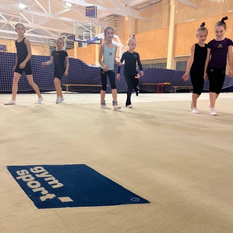 Ковер для художественной гимнастики GYMSPORT PROF NEW 14Х14
