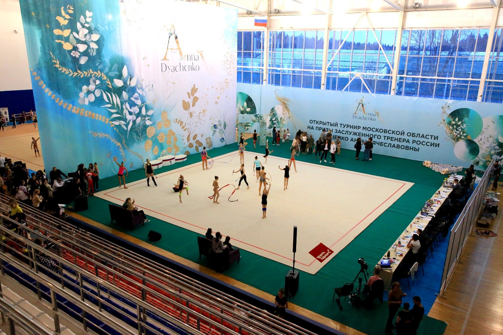 Ковер для художественной гимнастики GYMSPORT PROF NEW 14Х14