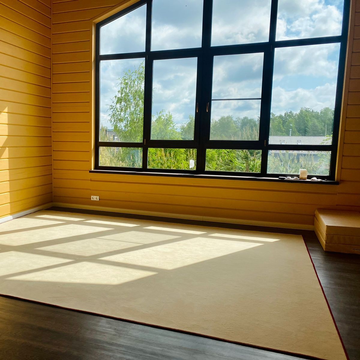 Ковер для художественной гимнастики GYMSPORT PROF PREMIUM 2х1,5м