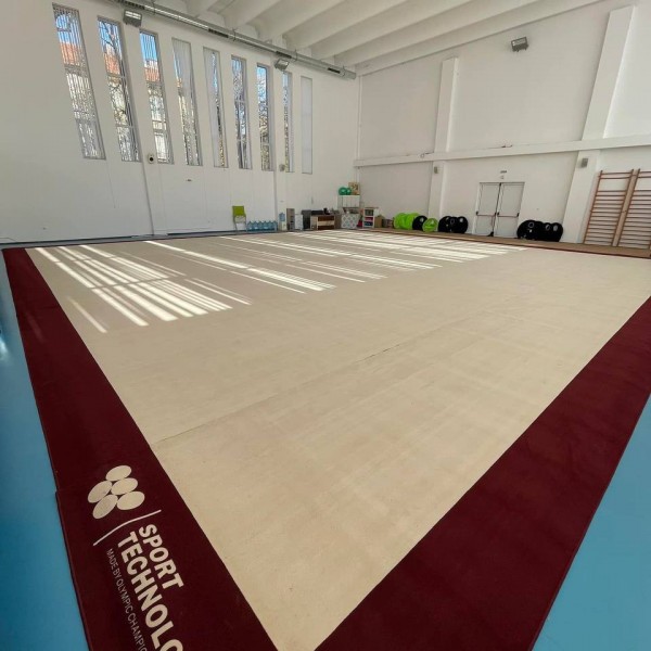 Ковер для художественной гимнастики Sport Technology полный комплект - с сертификатом FIG