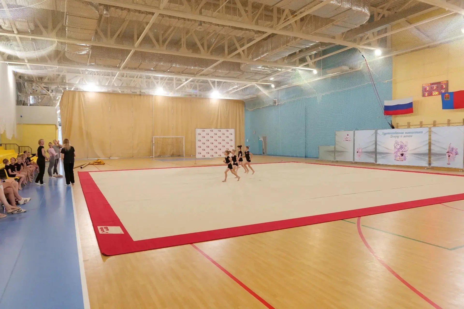 Помост для спортивной гимнастики пружинный GYMSPORT STRONG 14х14 для ковра 14х14