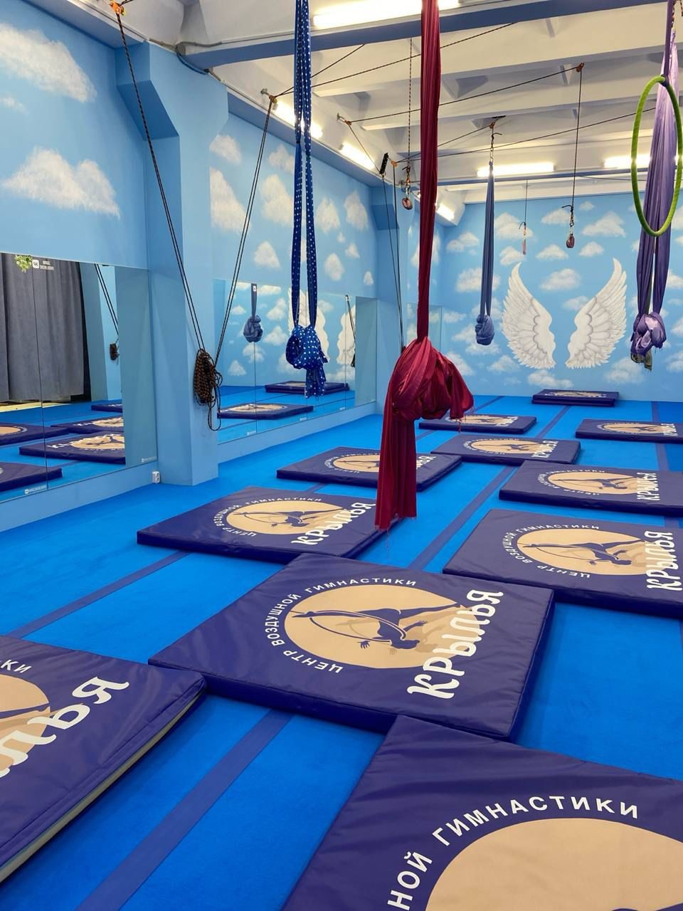 Ковер для спортивной гимнастики GYMSPORT 40 мм