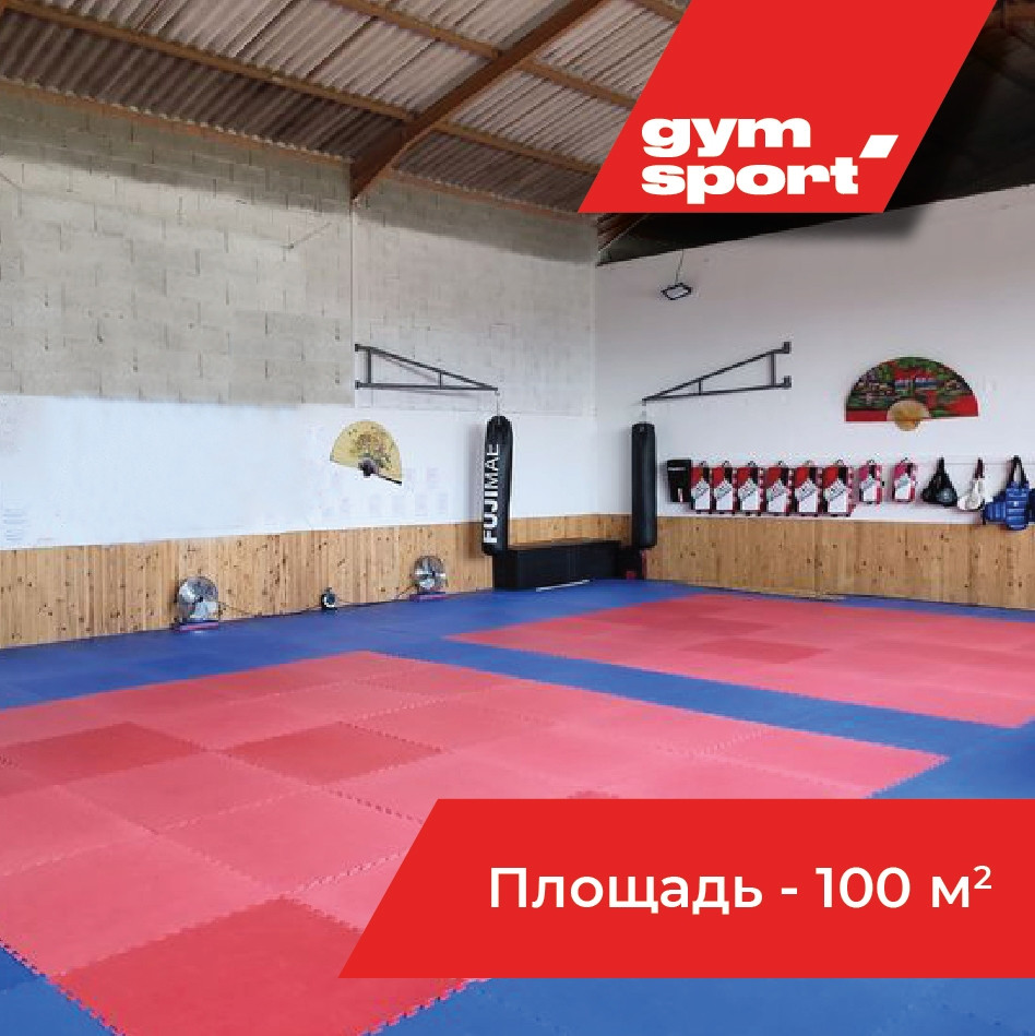 Будо-маты для татами GYMSPORT 1х1 ППЭ. Толщина 25 мм