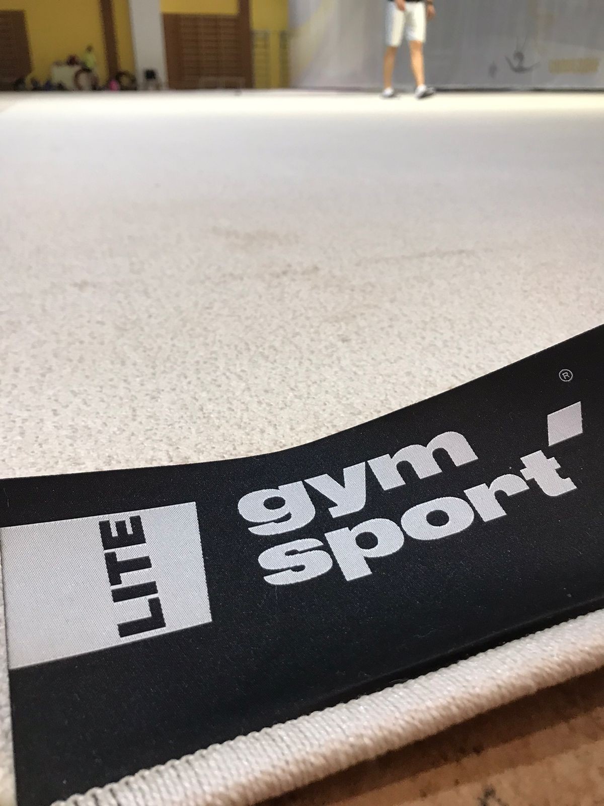 Ковер гимнастический GYMSPORT PROF 14Х14