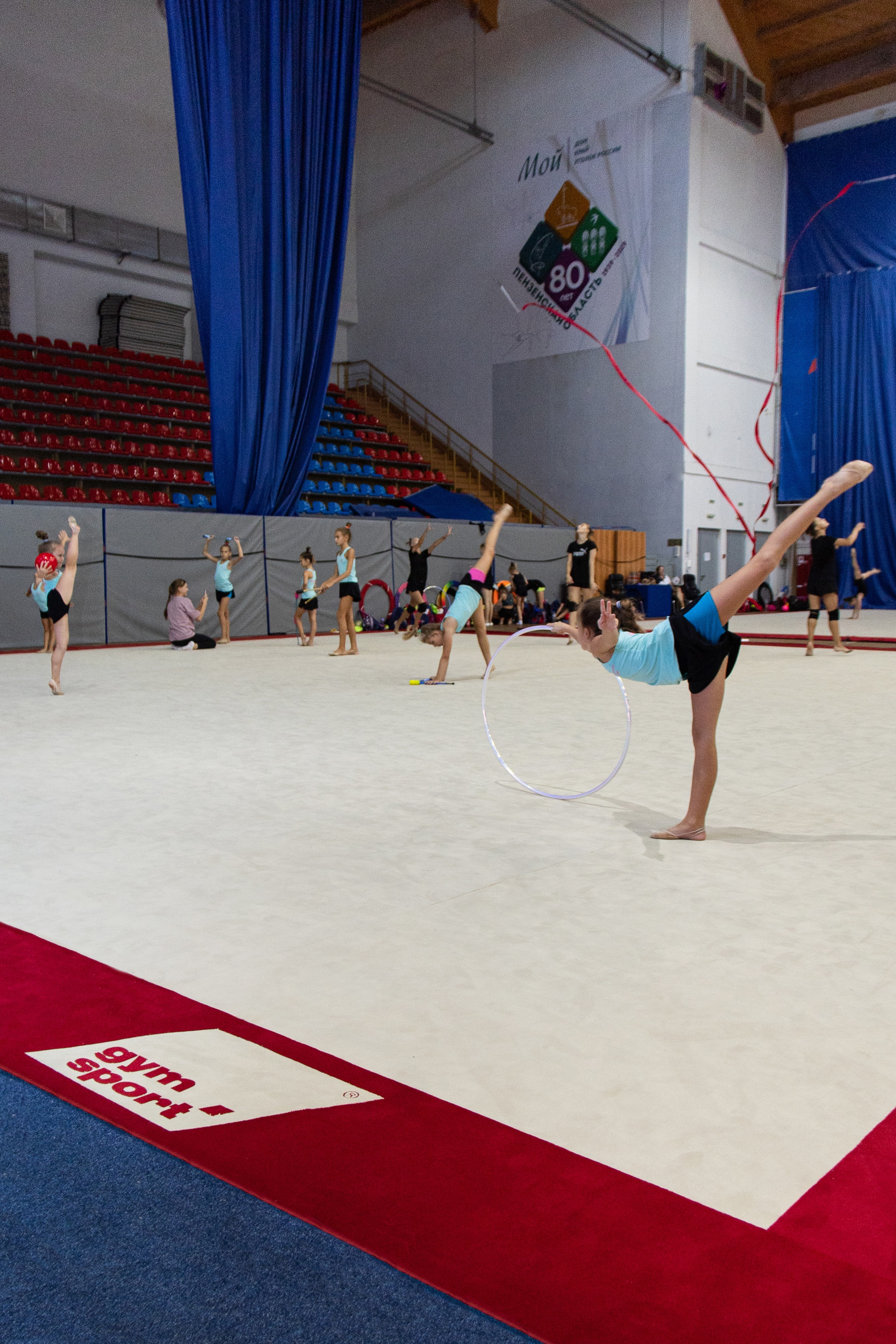 Соревновательный ковер для художественной гимнастики GYMSPORT PROF PREMIUM RED 14Х14