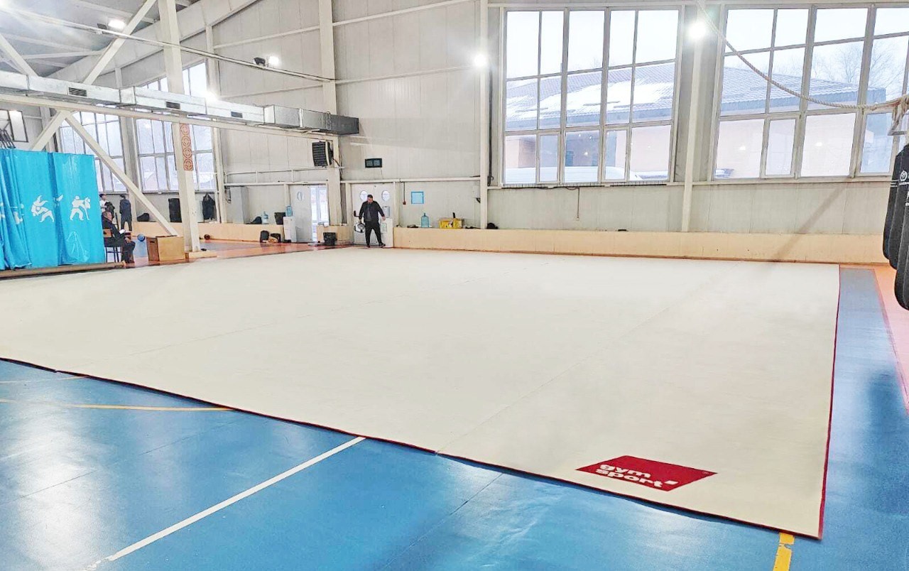 Ковер для художественной гимнастики GYMSPORT PROF NEW 14Х14