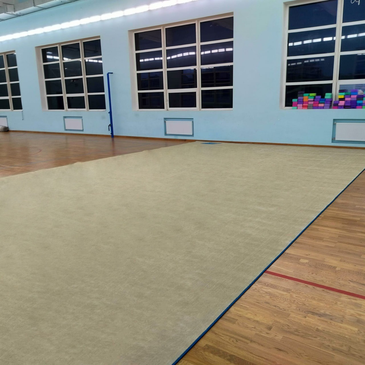 Ковер для художественной гимнастики GYMSPORT PROF NEW 14Х14