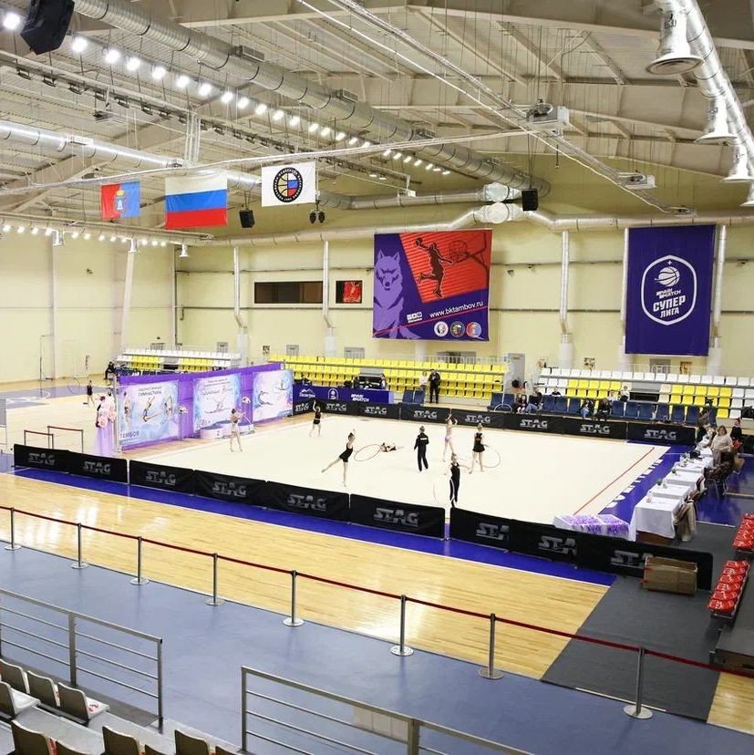 Ковер для гимнастики GYMSPORT PROF PREMIUM 8х5м