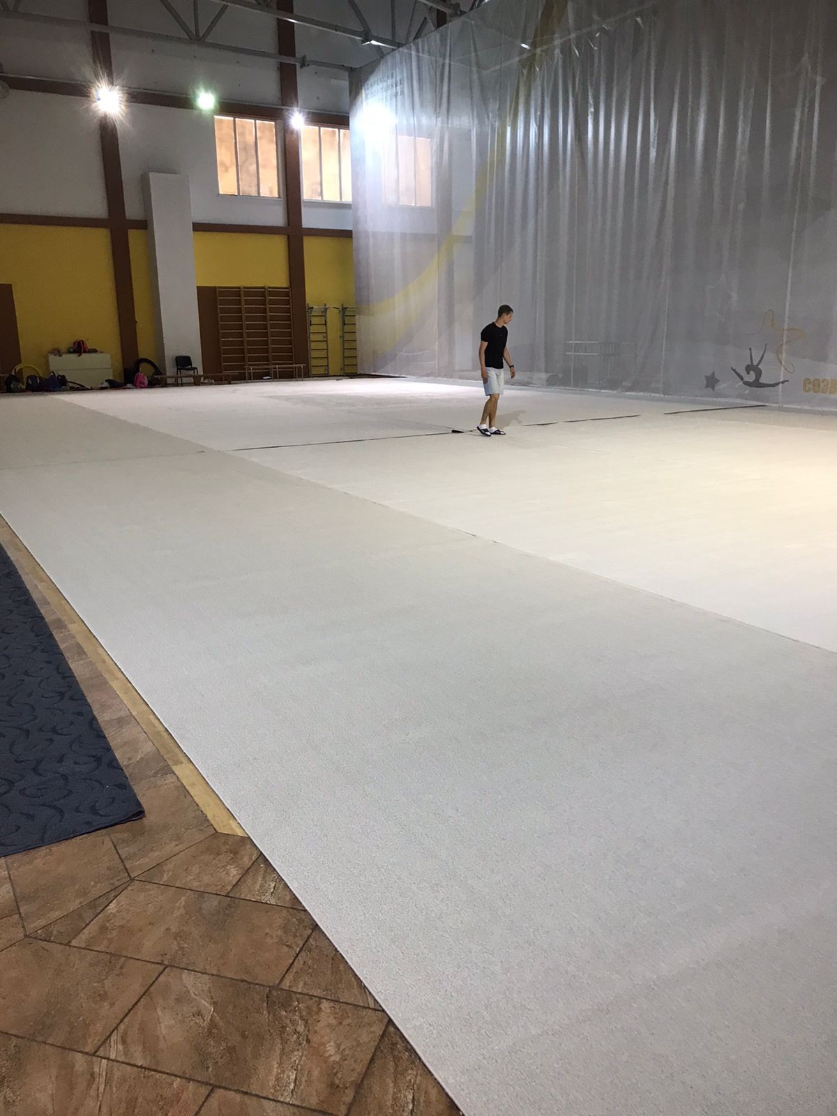 Ковер гимнастический GYMSPORT PROF 14Х14