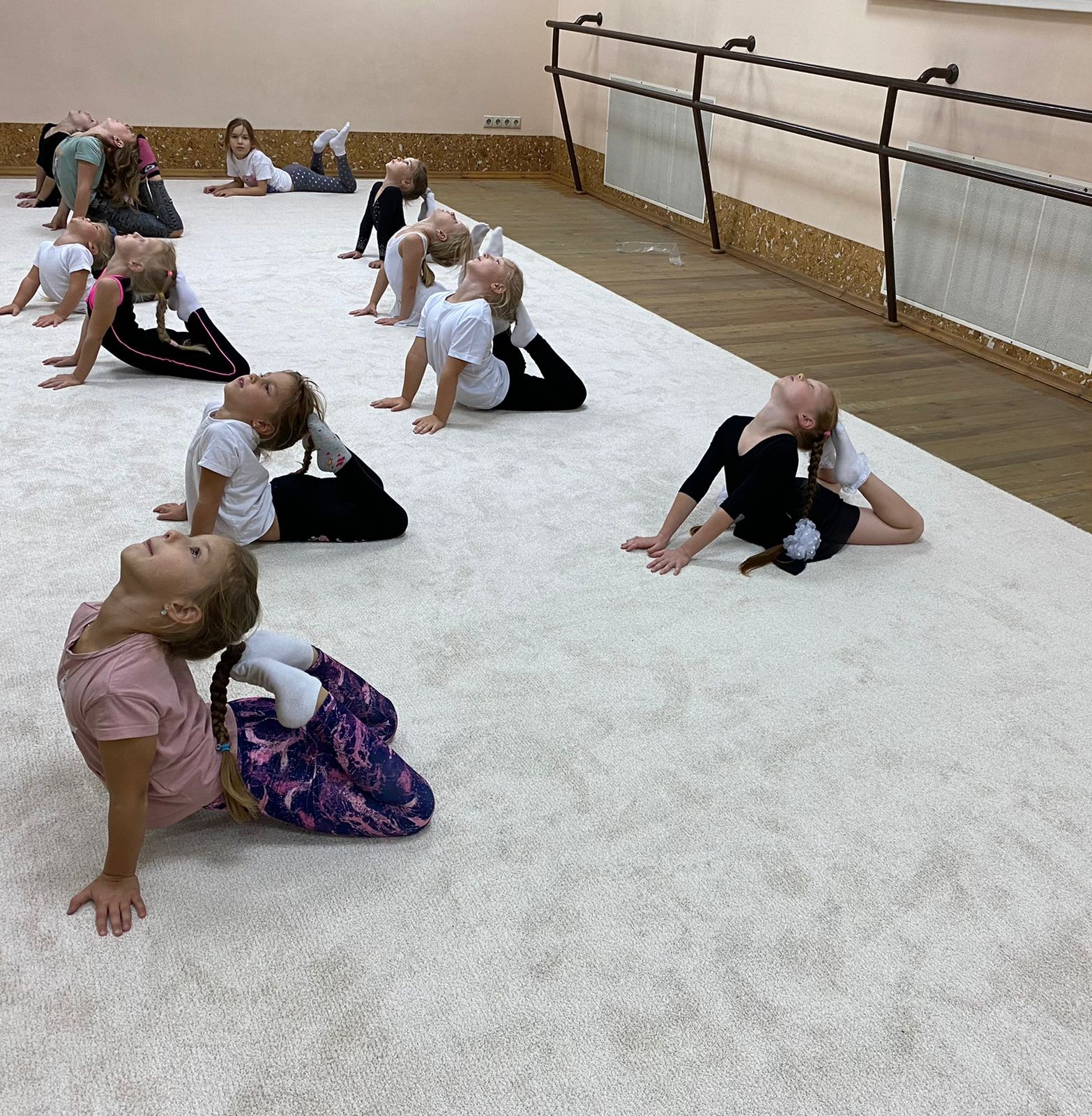 Ковер гимнастический GYMSPORT PROF 14Х14