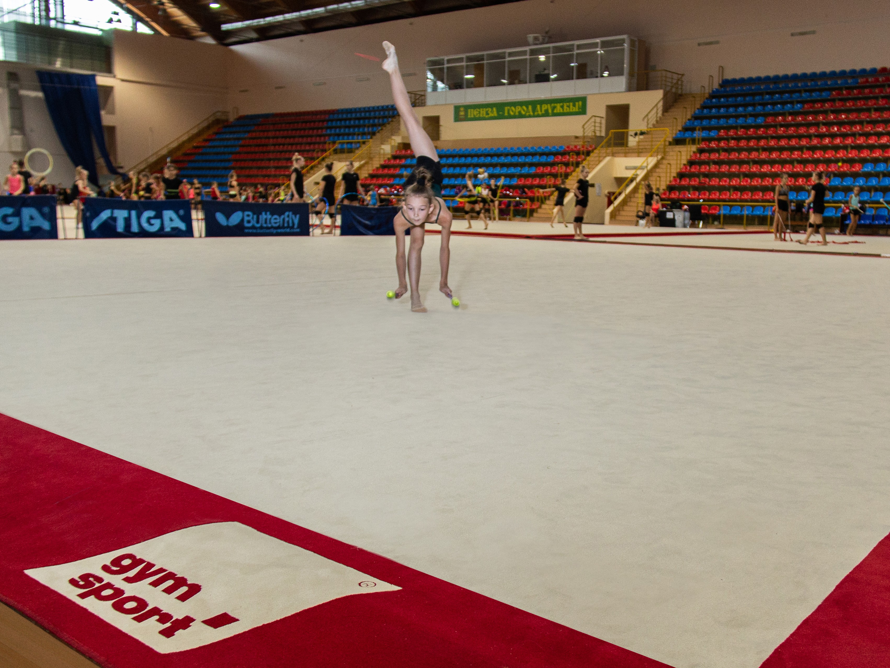 Соревновательный ковер для художественной гимнастики GYMSPORT PROF PREMIUM RED 14Х14