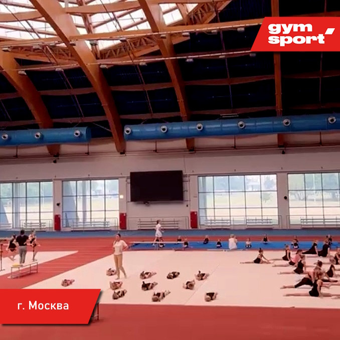 Ковер для художественной гимнастики GYMSPORT PROF 14Х14