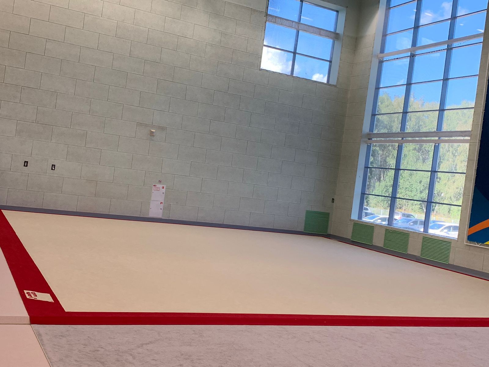 Соревновательный ковер для художественной гимнастики GYMSPORT PROF PREMIUM RED 14Х14