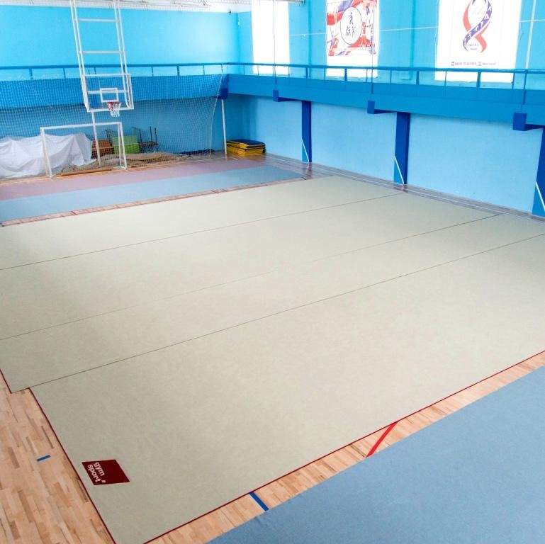 Ковер для гимнастики GYMSPORT PROF PREMIUM 12х13м