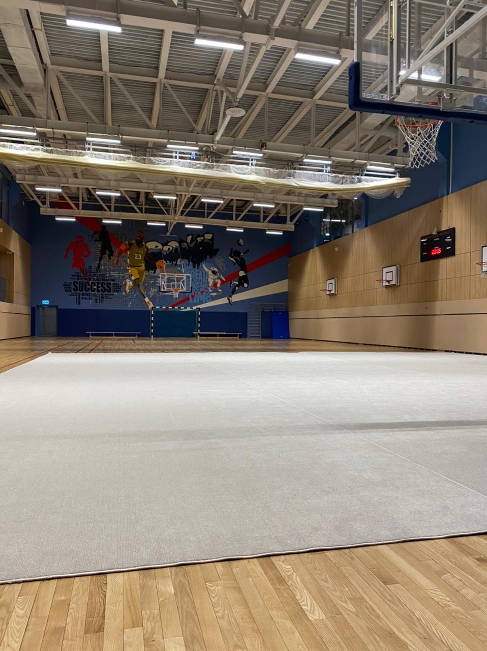 Ковер гимнастический GYMSPORT PROF 14Х14
