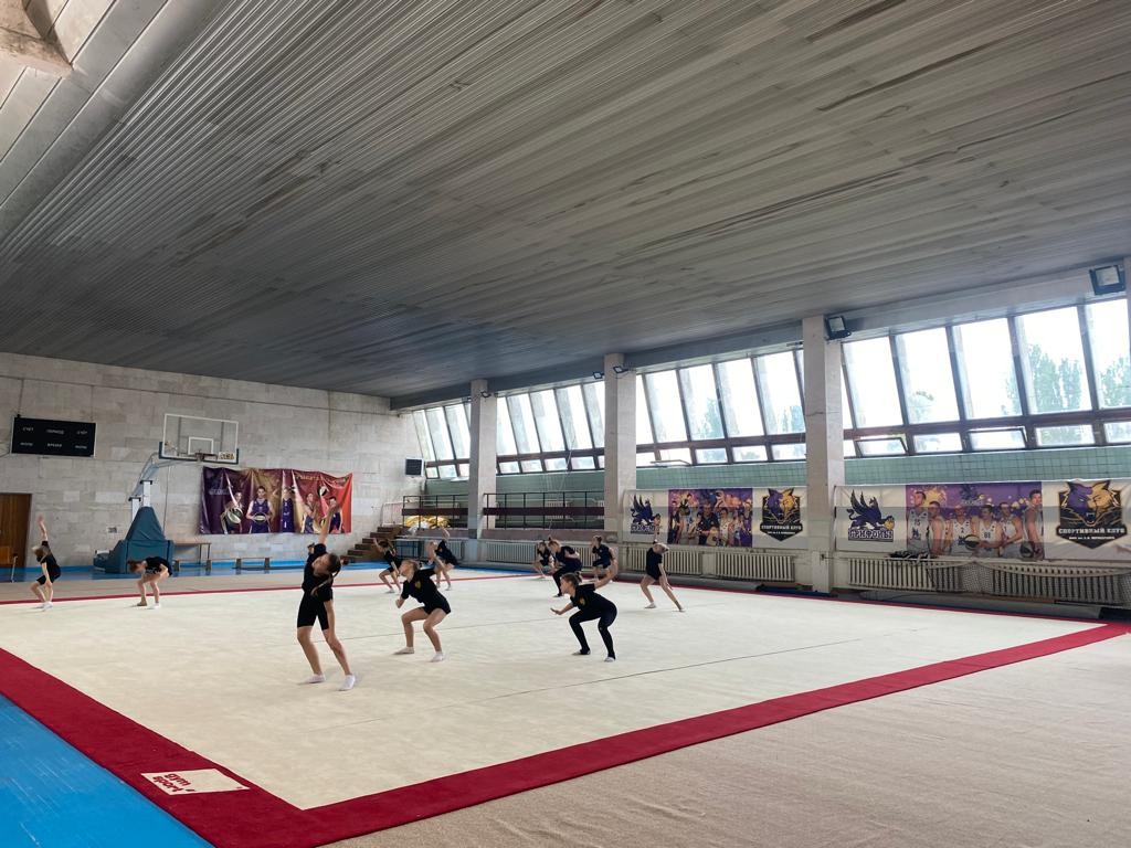 Соревновательный ковер для художественной гимнастики GYMSPORT PROF PREMIUM RED 14Х14