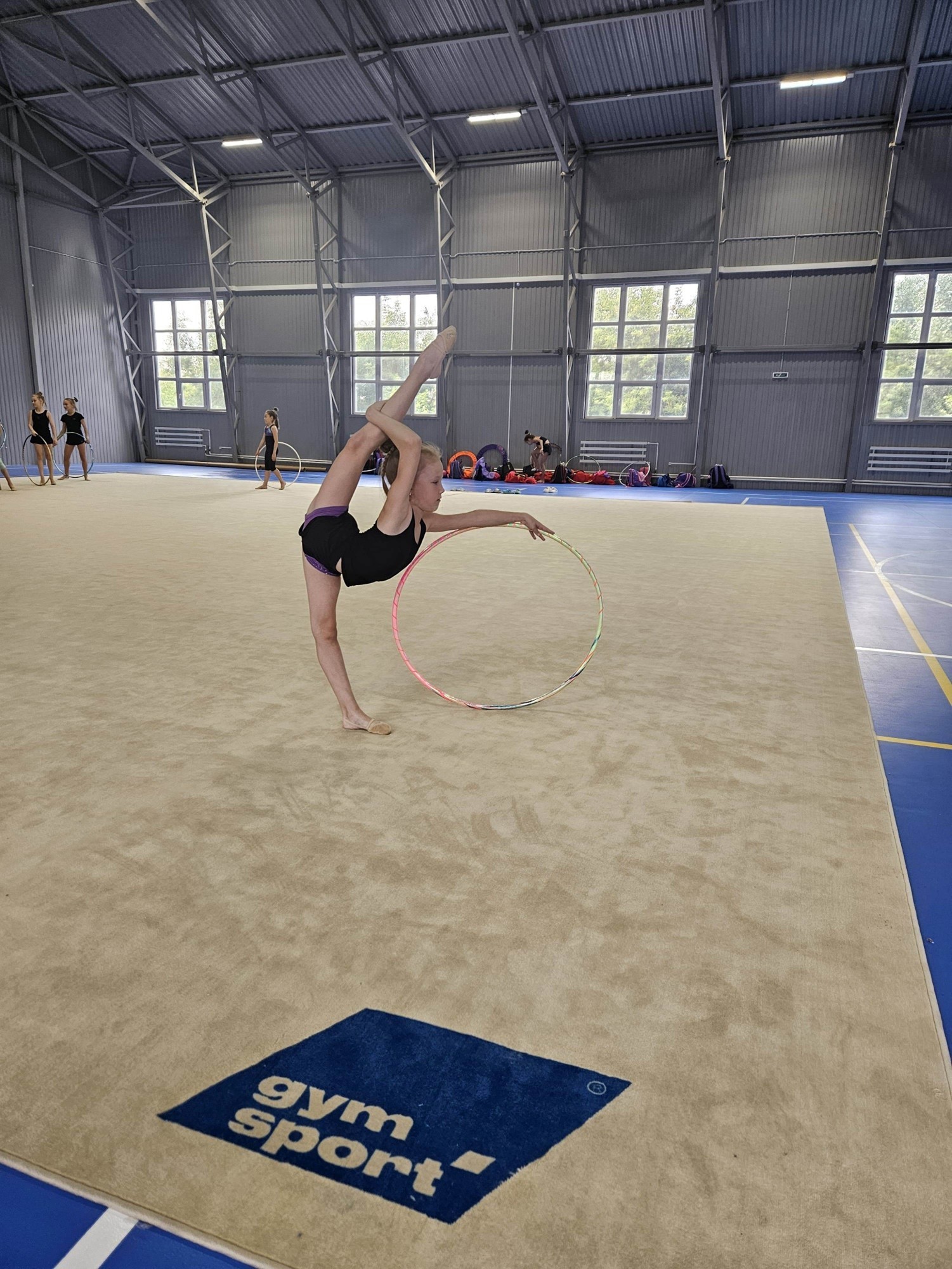 Ковер для художественной гимнастики GYMSPORT PROF NEW 14Х14