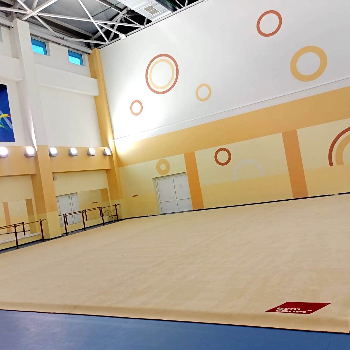 Ковер для художественной гимнастики GYMSPORT PROF PREMIUM 4х7м