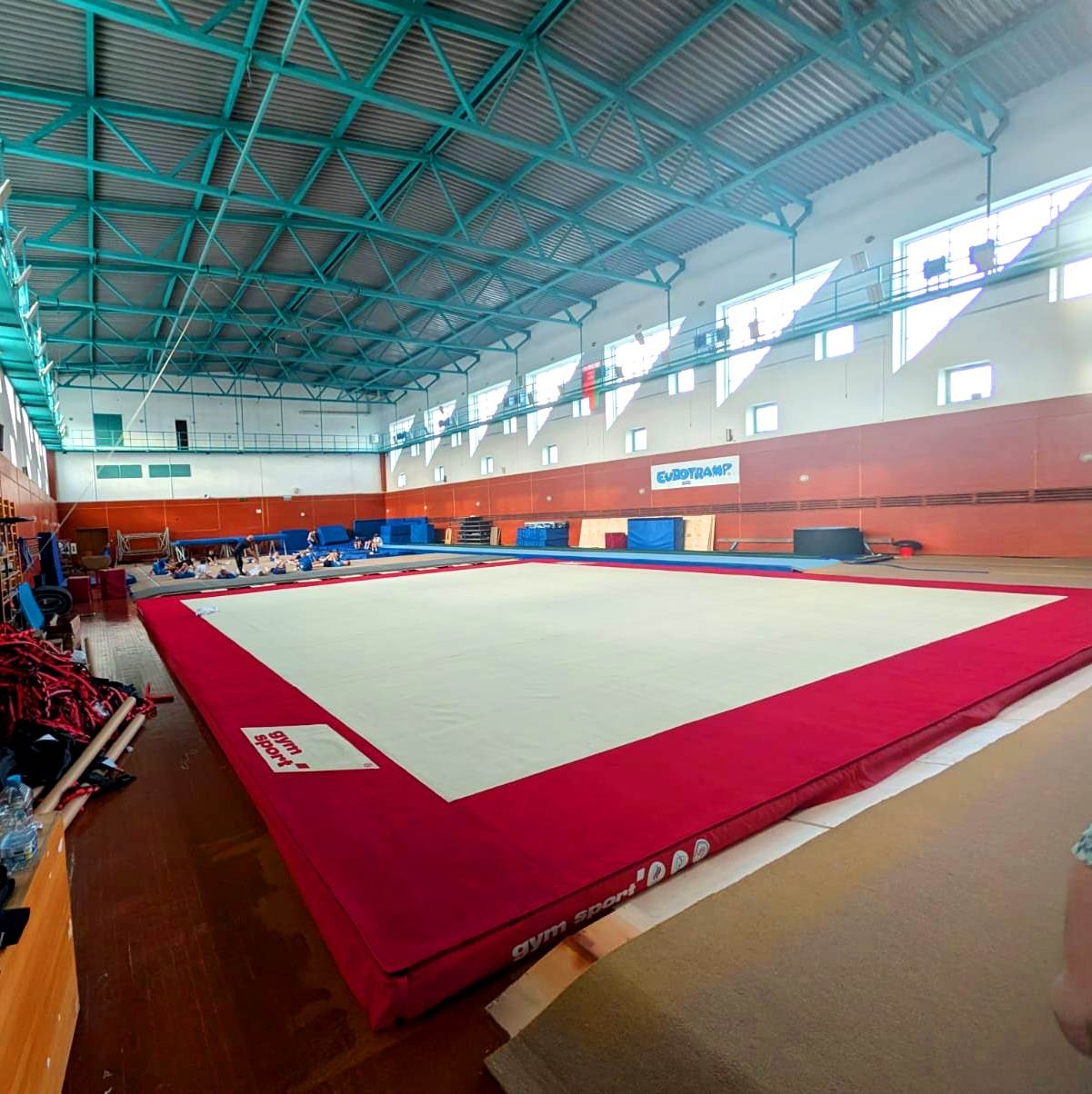 Ковер для спортивной гимнастики и акробатики GYMSPORT STRONG PREMIUM RED 14x14