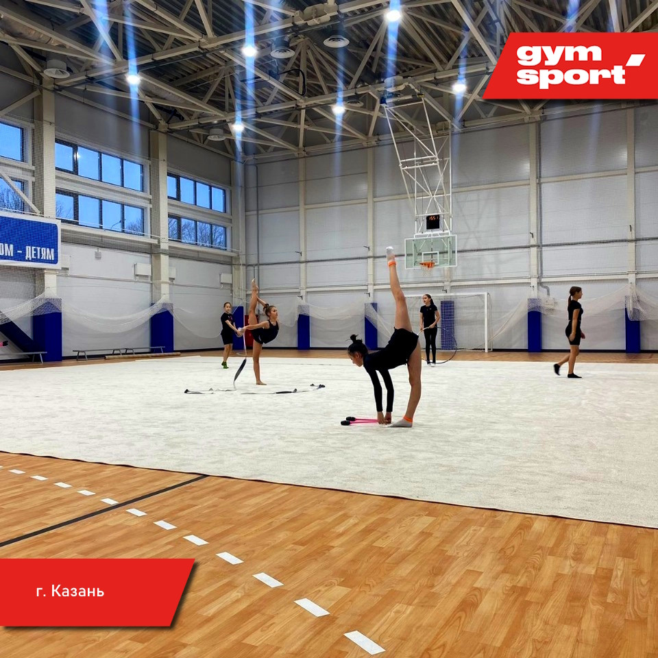 Ковер для художественной гимнастики GYMSPORT PROF 14Х14