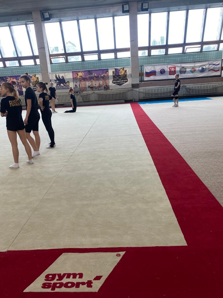 Соревновательный ковер для художественной гимнастики GYMSPORT PROF PREMIUM RED 14Х14