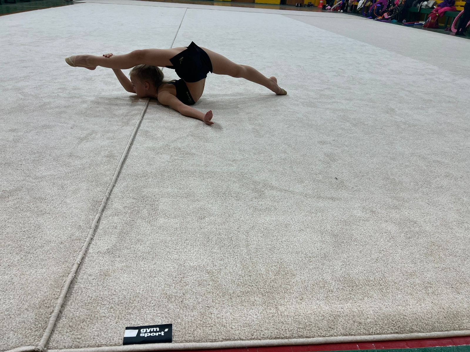 Ковер гимнастический GYMSPORT PROF 14Х14